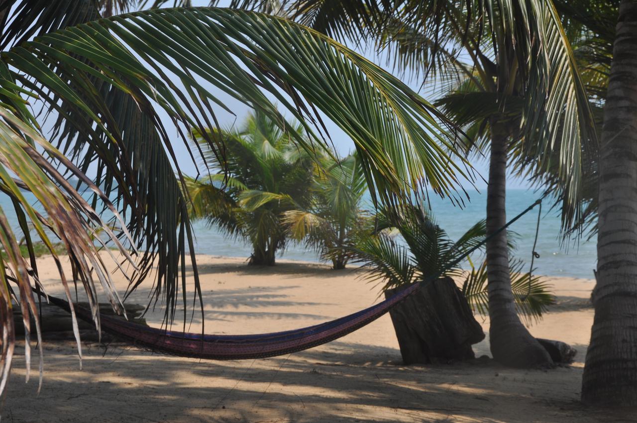 Hôtel Sabal Beach à Monkey River Town Extérieur photo