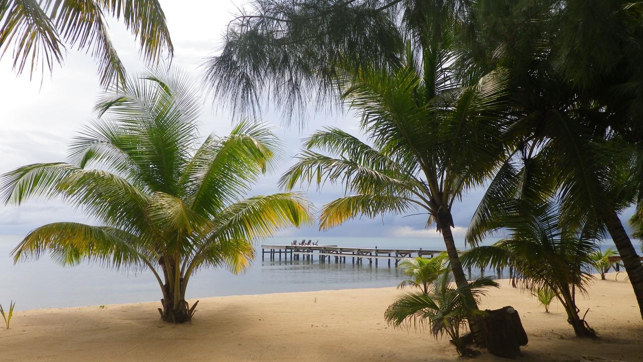 Hôtel Sabal Beach à Monkey River Town Extérieur photo