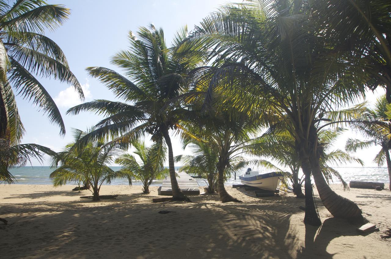 Hôtel Sabal Beach à Monkey River Town Extérieur photo