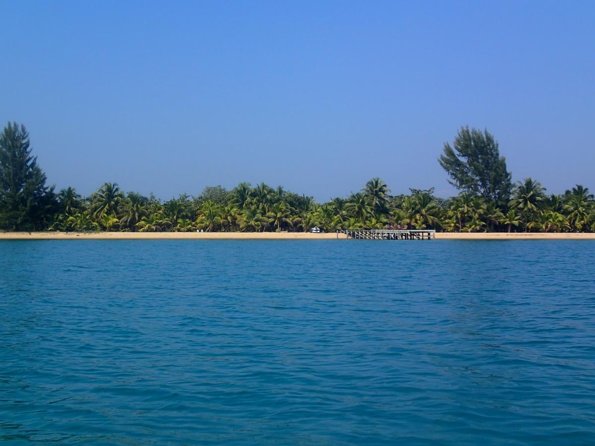 Hôtel Sabal Beach à Monkey River Town Extérieur photo